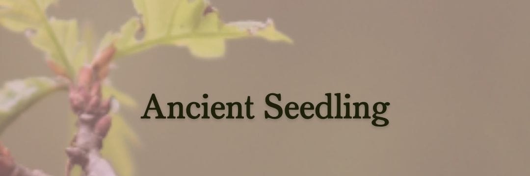 ancient seedling