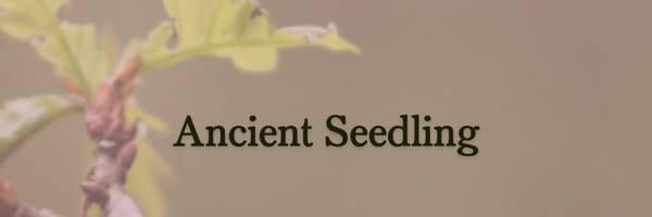 ancient seedling